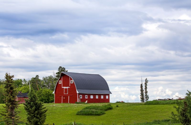 Barn Construction