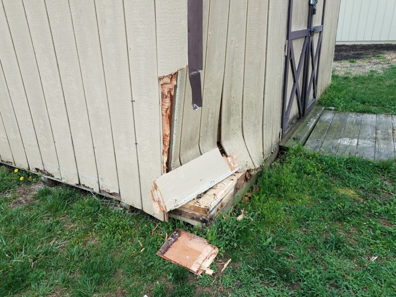 Shed Roof Repair in Wilmington, NC