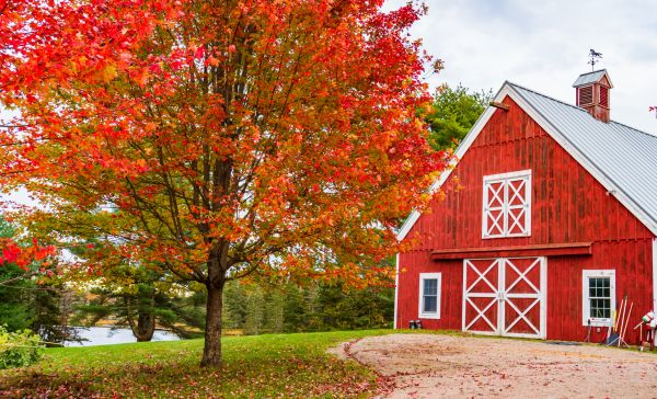 Custom Barn Construction