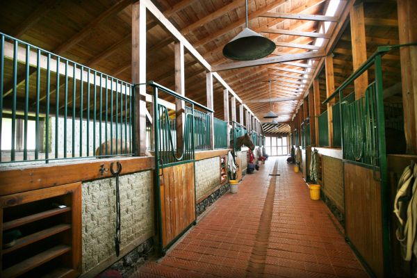 Horse Shelter Assembly